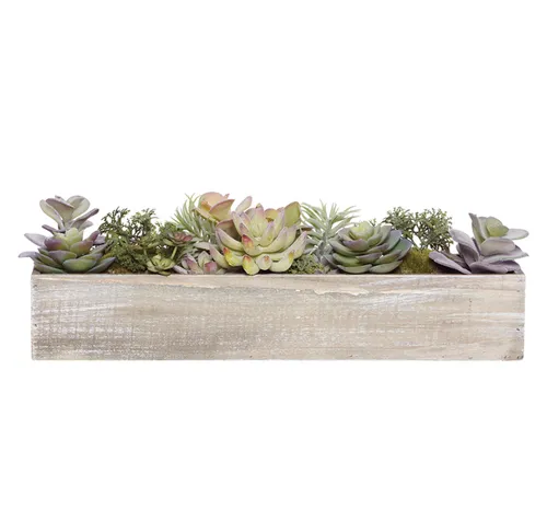 Succulent timber tray rectangle