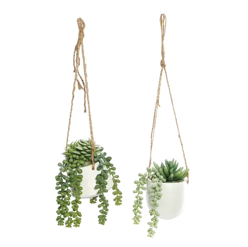 Succulent Hanging White Pot