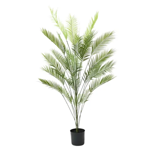 Palm tree 181cm