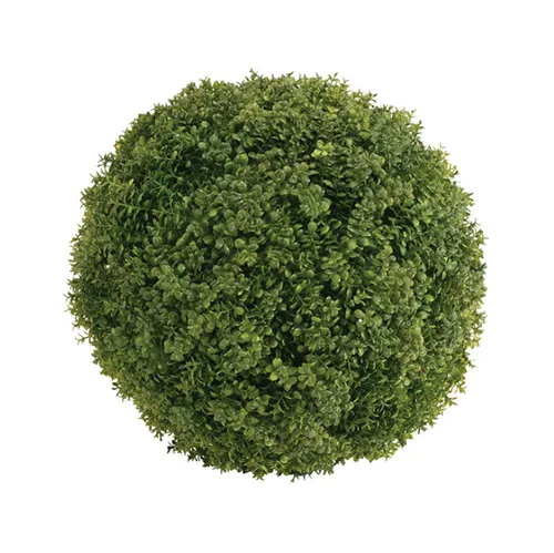 Buxus Ball