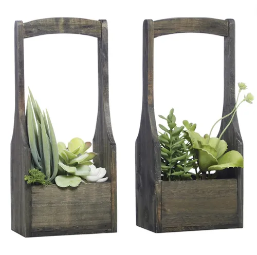 Succulent wood handle crate med