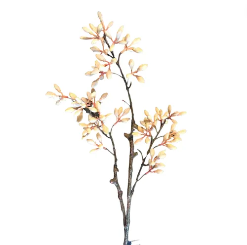 Apricot Beaded Spray 70cm