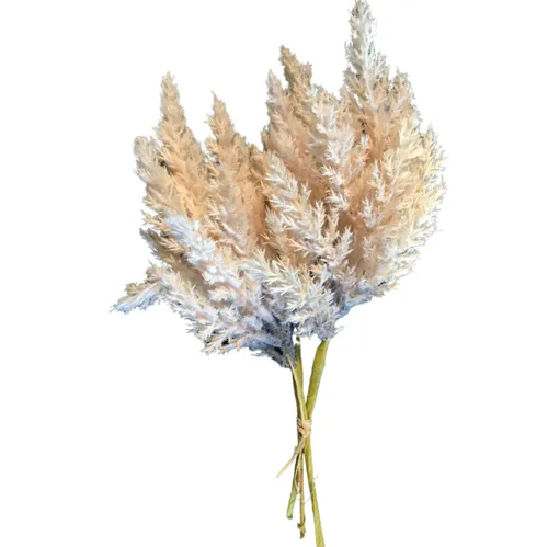 Peach Brush Spray 33cm