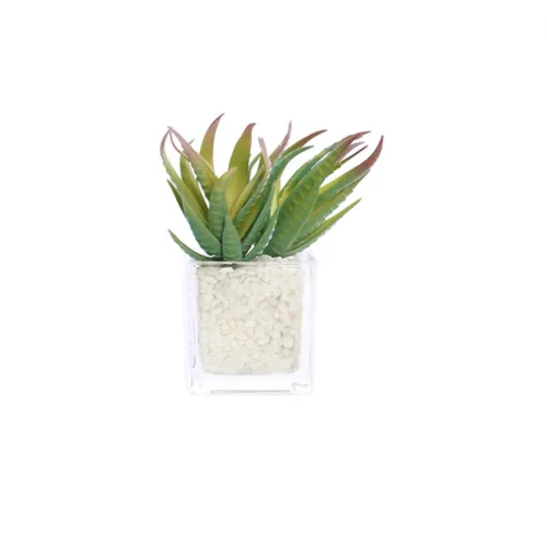 White glass succulents in square pot
