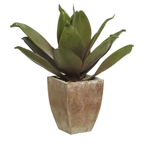 Agave timber pot plant sml
