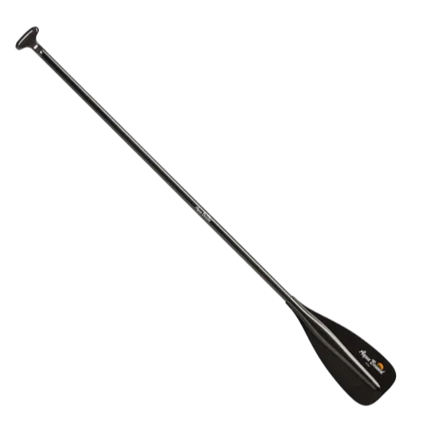 Paddle Rental