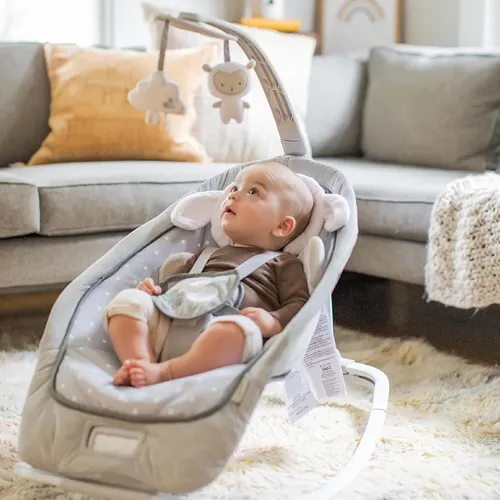 Baby Bouncer