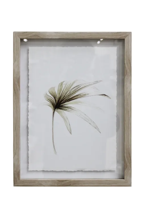 Elegant Palm Artwork - BAW101