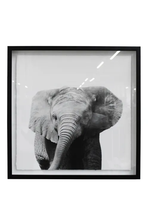 Elephant's Gaze Kids Artwork - KAW1239