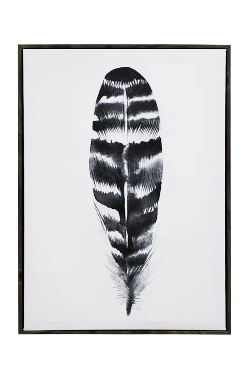 Monochrome Feather Artwork - AW52