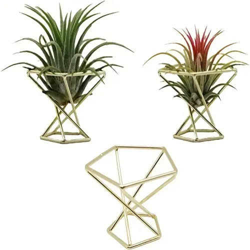 Mini Gold Succulent Holders 