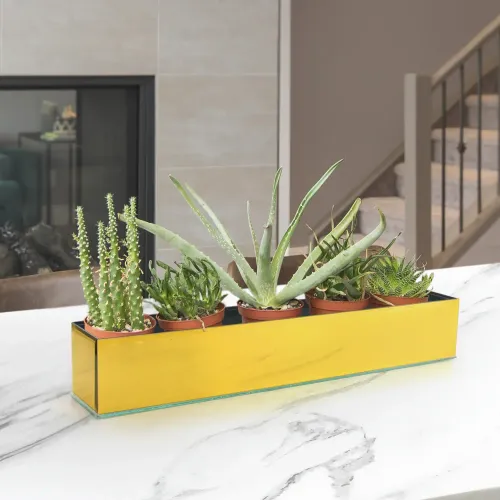 Gold Mirror Planter Box