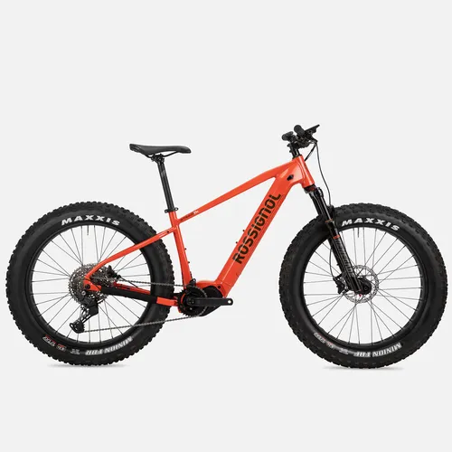 Electric Fat Tire Bike