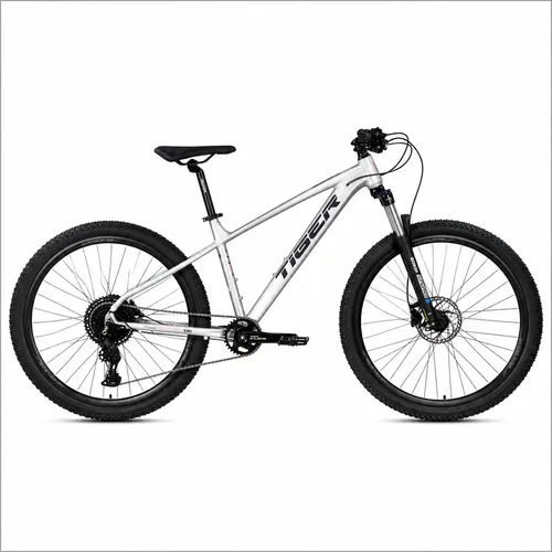 Standard Bike - Large