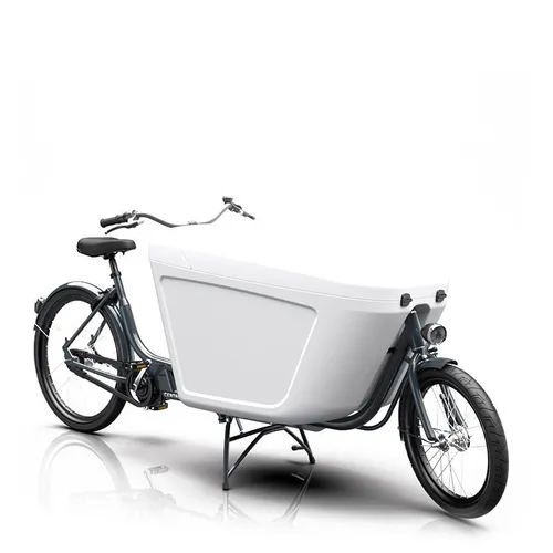 Raleigh Cargo Bike (TBYB Business)