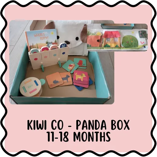 11-18 Month Kiwi Kit 📦