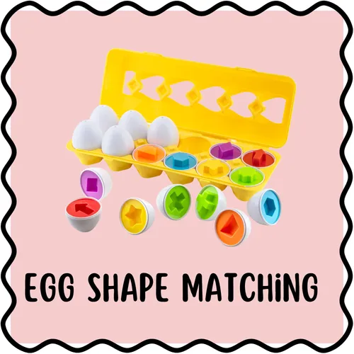 Egg Shape Matching