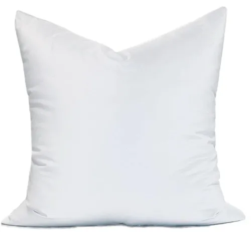 Pillow Insert 22 x 22 - Purchase
