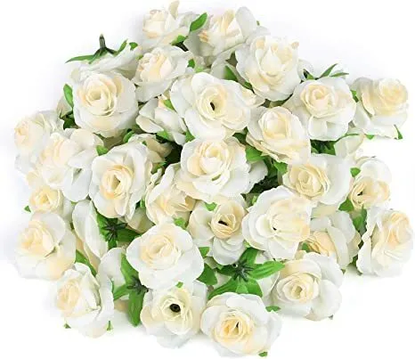 Cream White Roses Flower Head