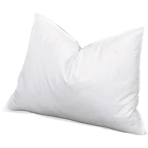 Pillow Insert 20x30