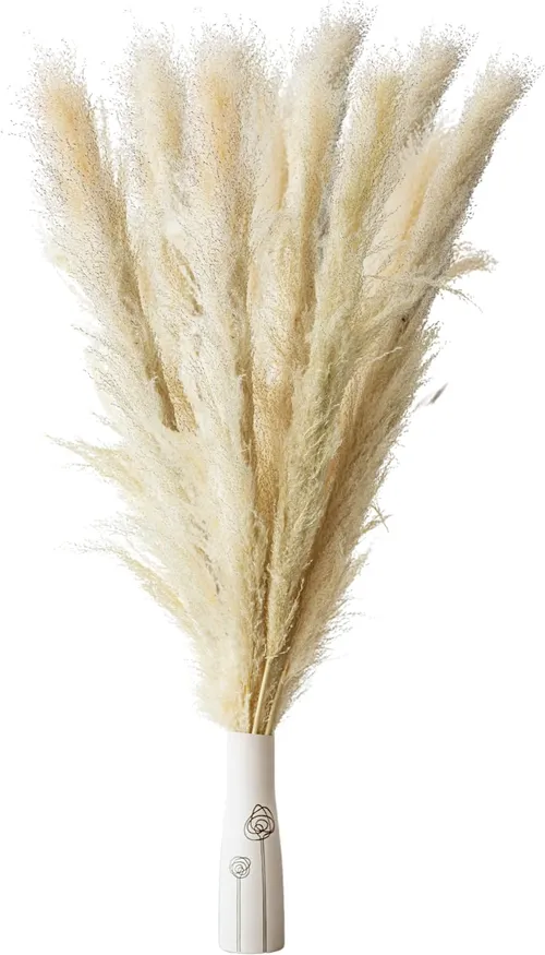 Natural Dried Pampas Grass