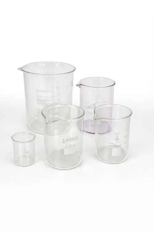 Assorted Glass Beakers 250 mL - Set of 5