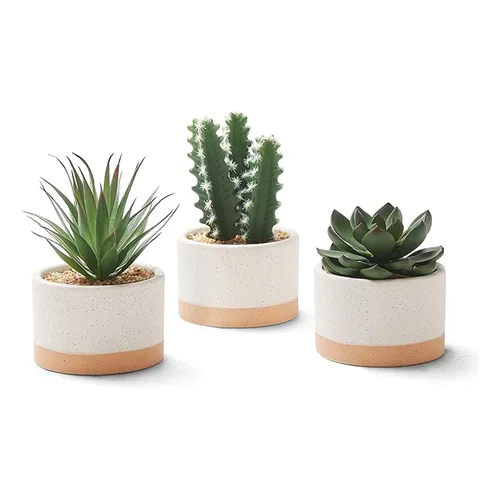 Artificial Succulent Plants in Ceramic Pots - Set of 3