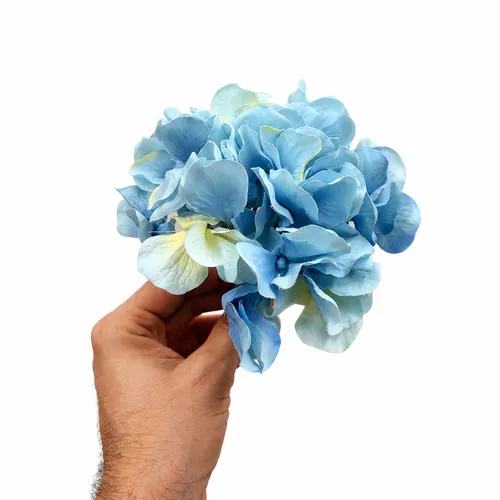 Blue Hydrangea 