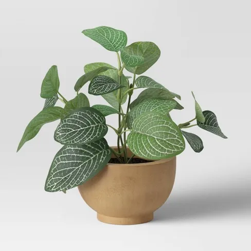 Small Veriegated Leaf 