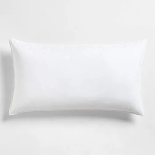 Pillow Insert 20x12