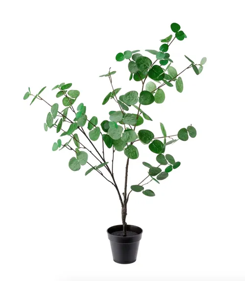Artificial Eucalyptus Plant