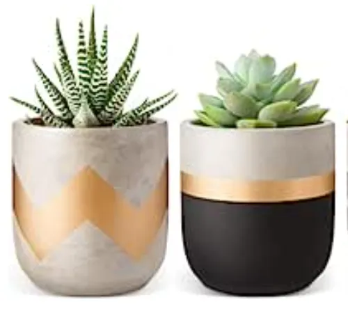 Decorative Black Ceramic Planter 