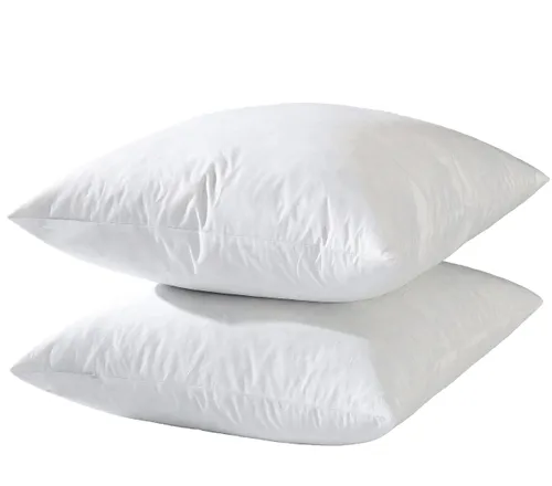 Pillow Insert - 24