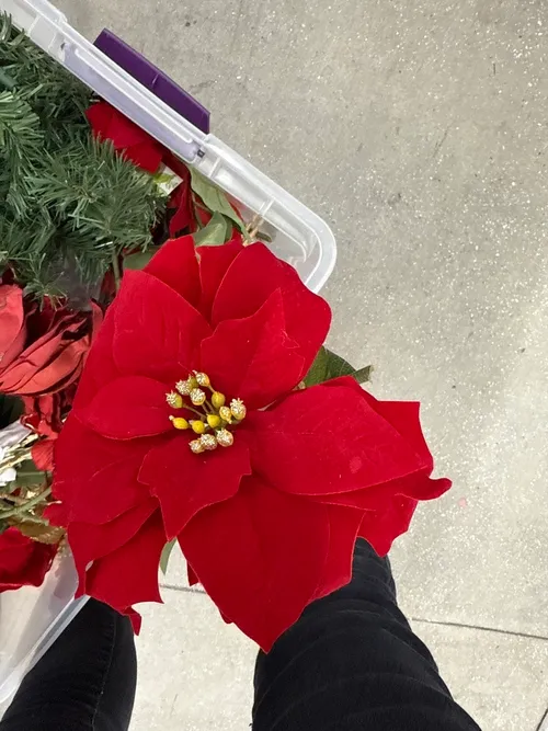 32in Long Red Poinsettia Stem