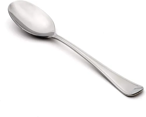 Stainless Steel Serving Spoon