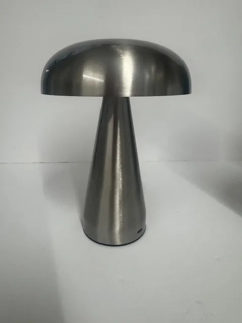 Stainless steel Wireless Lamp