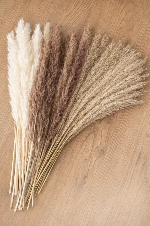 Boho Pampas Grass Multicolor
