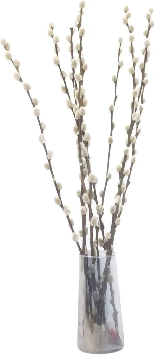 Artificial Pussy Willow Stems