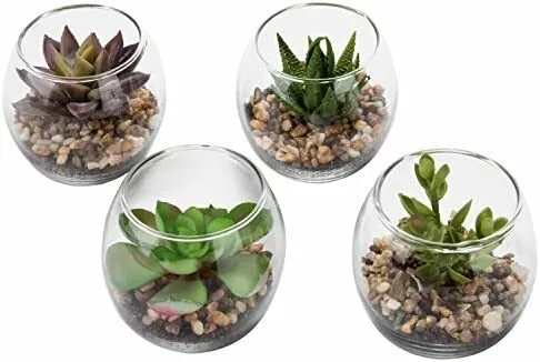 Artificial Succulents in Display Vases
