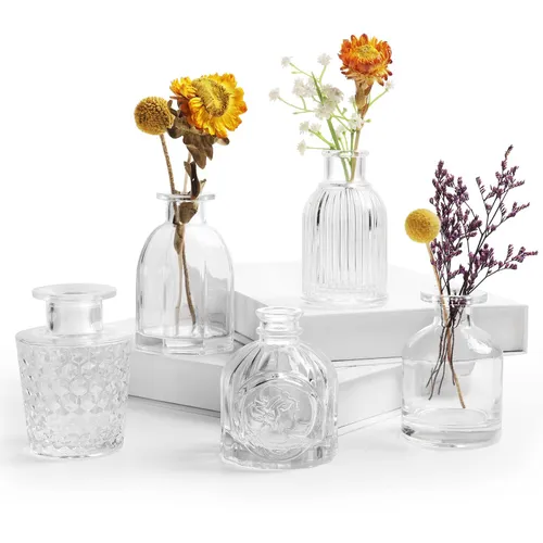 Small Glass Bud Vases for Flowers 
