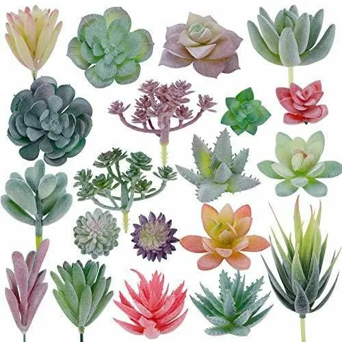 Artificial Succulent Plants