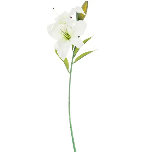 White Lily Stems 