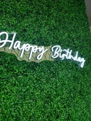 Neon Light Happy Birthday includes adapter - 12V