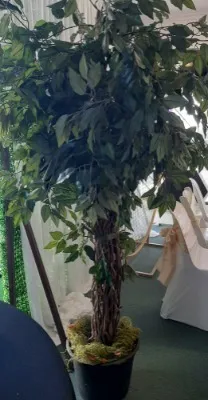 Tree Artificial 170cmH
