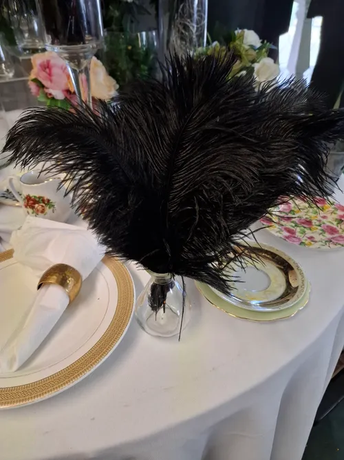 Ostrich feathers - Black (small) (per feather)