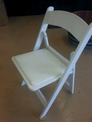 Chairs White Folding ( must be returned clean)