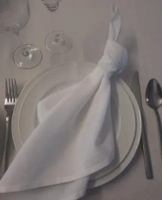 Napkins White Linen
