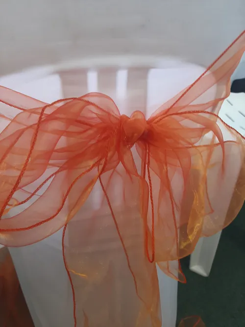 Orange Organza Sash