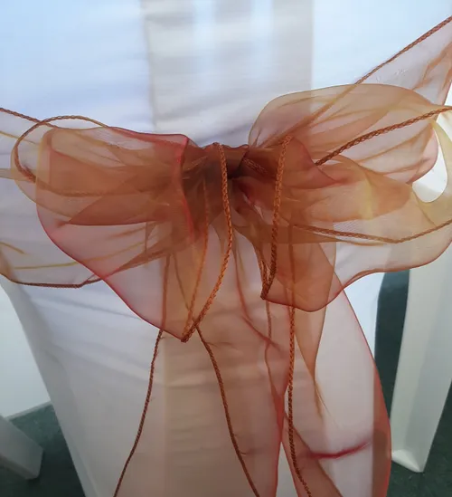 Orange (Burnt) Organza Sash