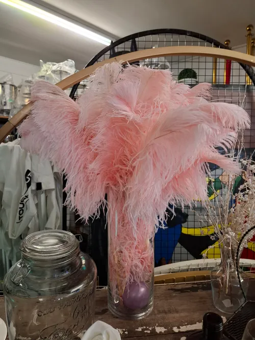 Ostrich Feather -Pink (Large) (per feather)